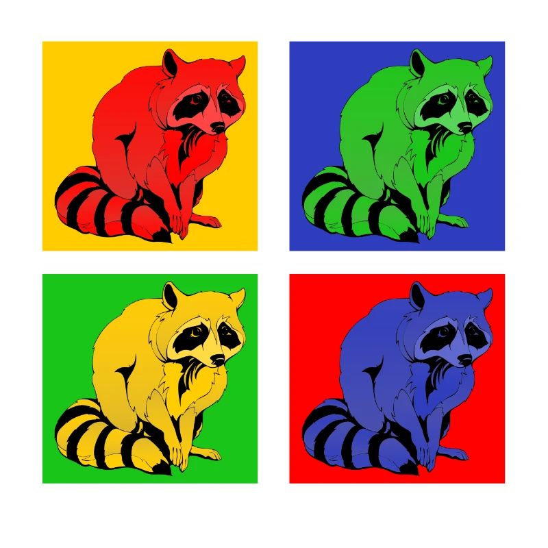 Cute raccoon