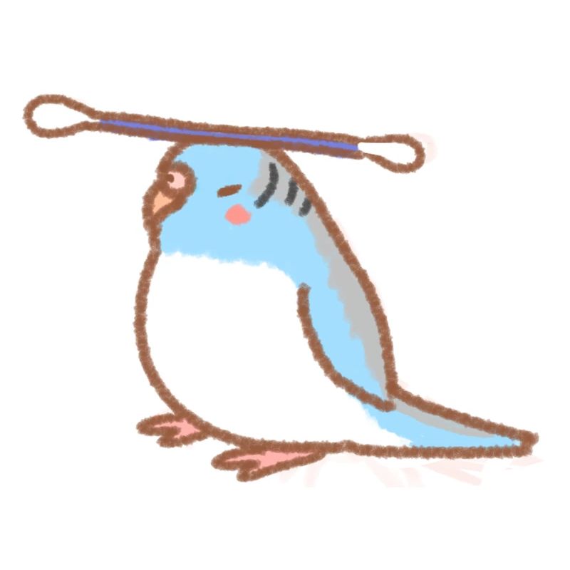 budgie with qtip