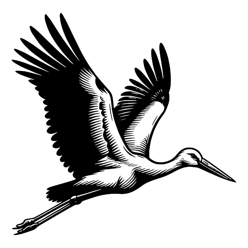 Elegant flying stork bird