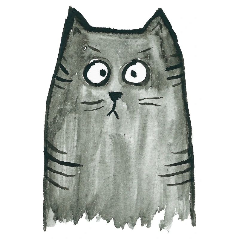 Katze grau getigert