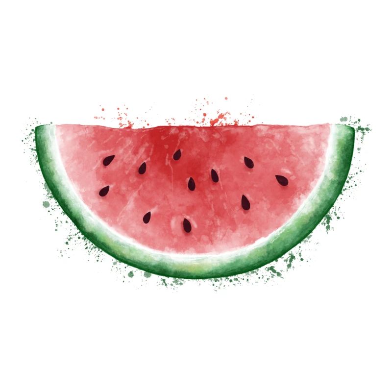 Melon d'été