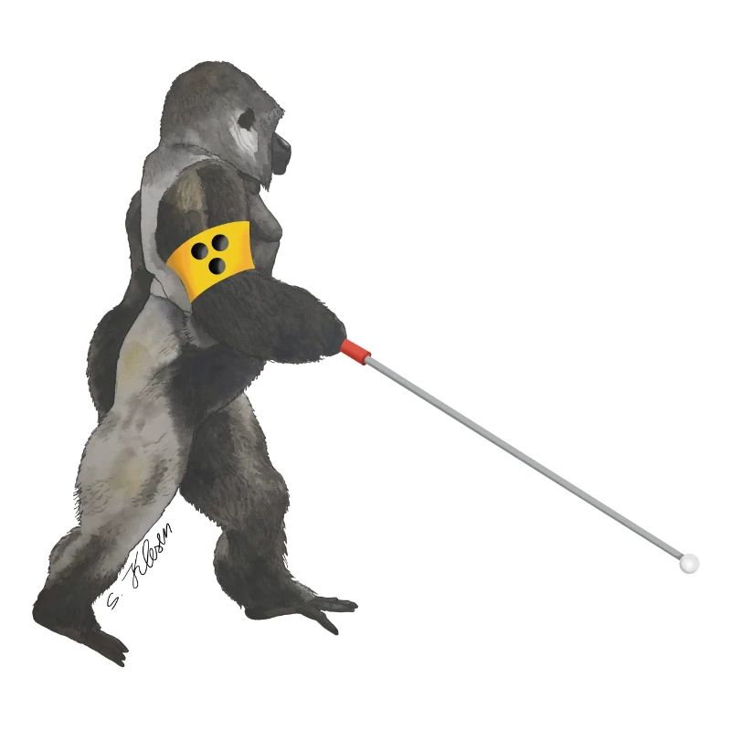 blind gorilla