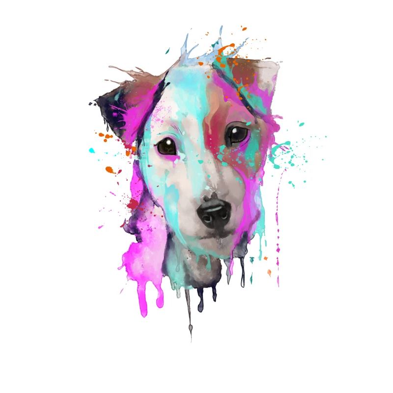 Parson Russell Terrier