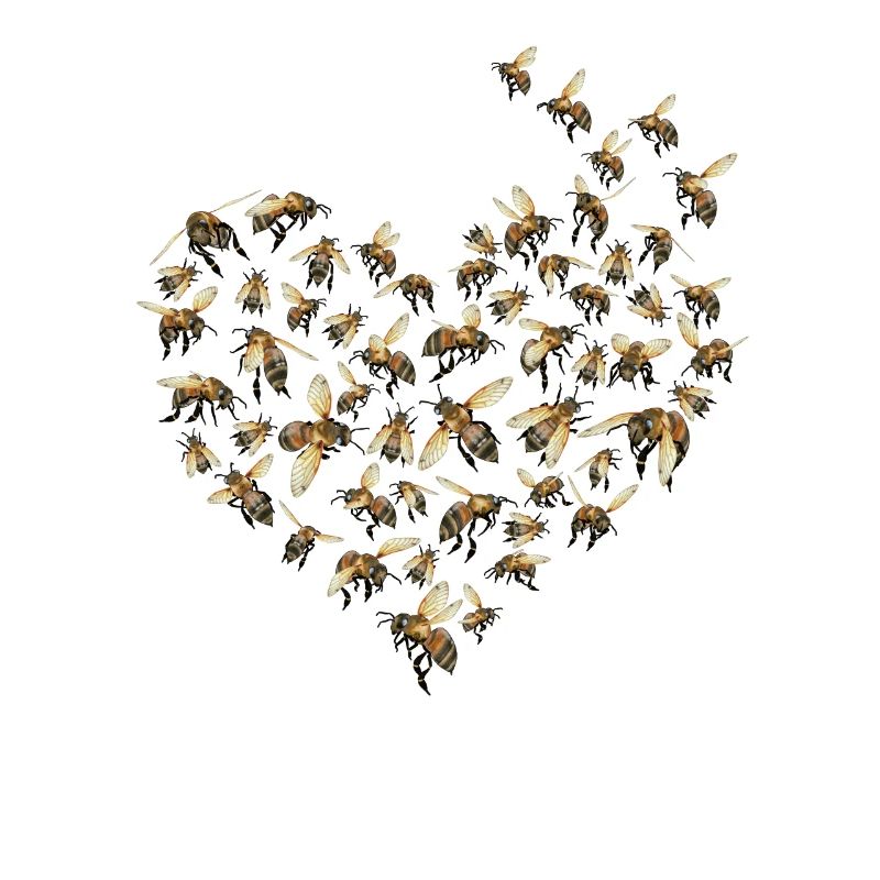 Beekeeper Honey Gift Idea Bee Design