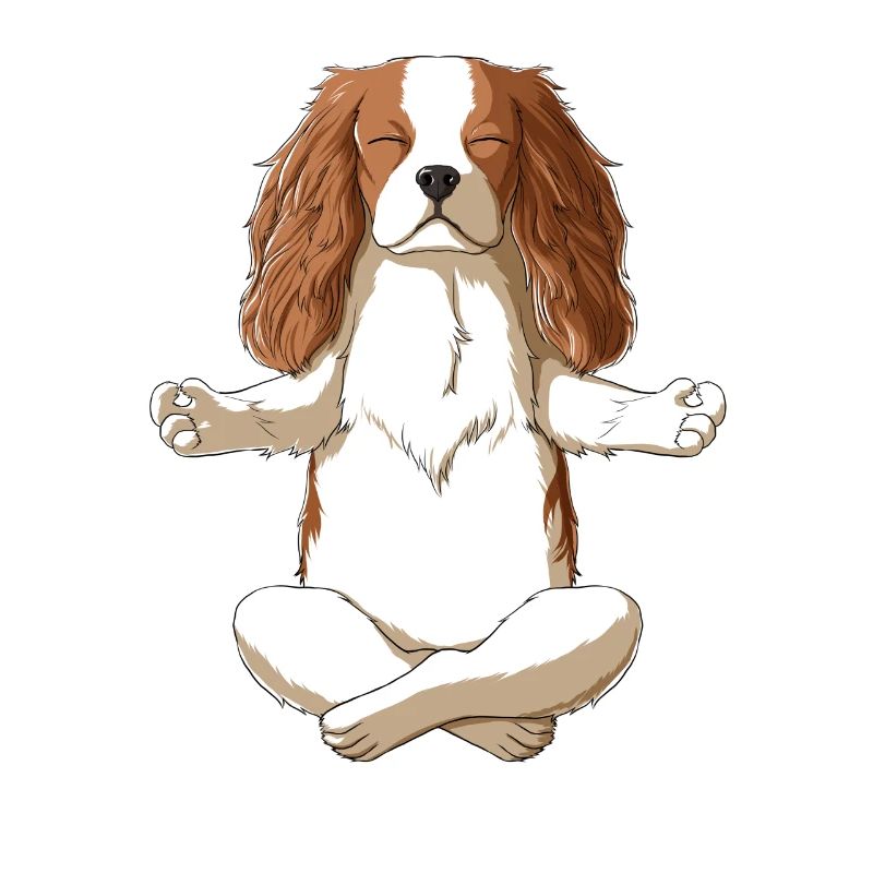 Yoga Cavalier King Charles Spaniel