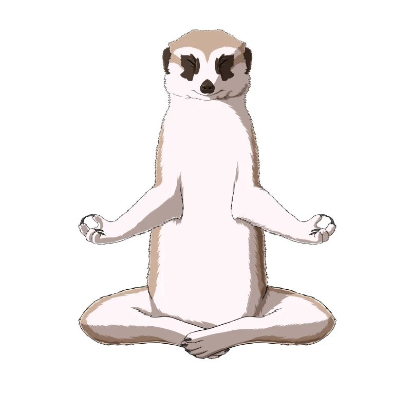 Meditation Erdmännchen