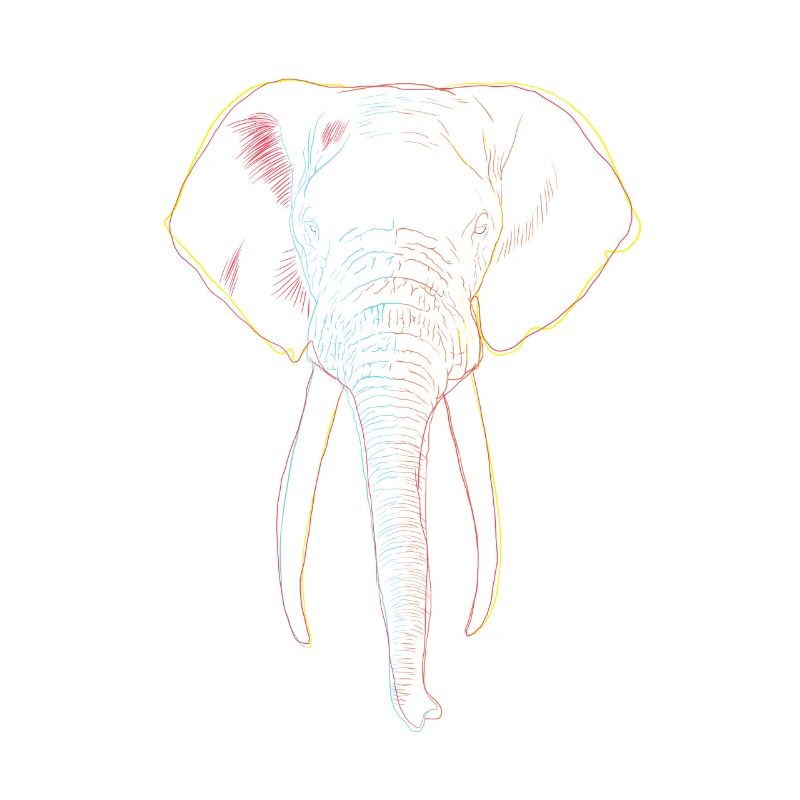 Elefant