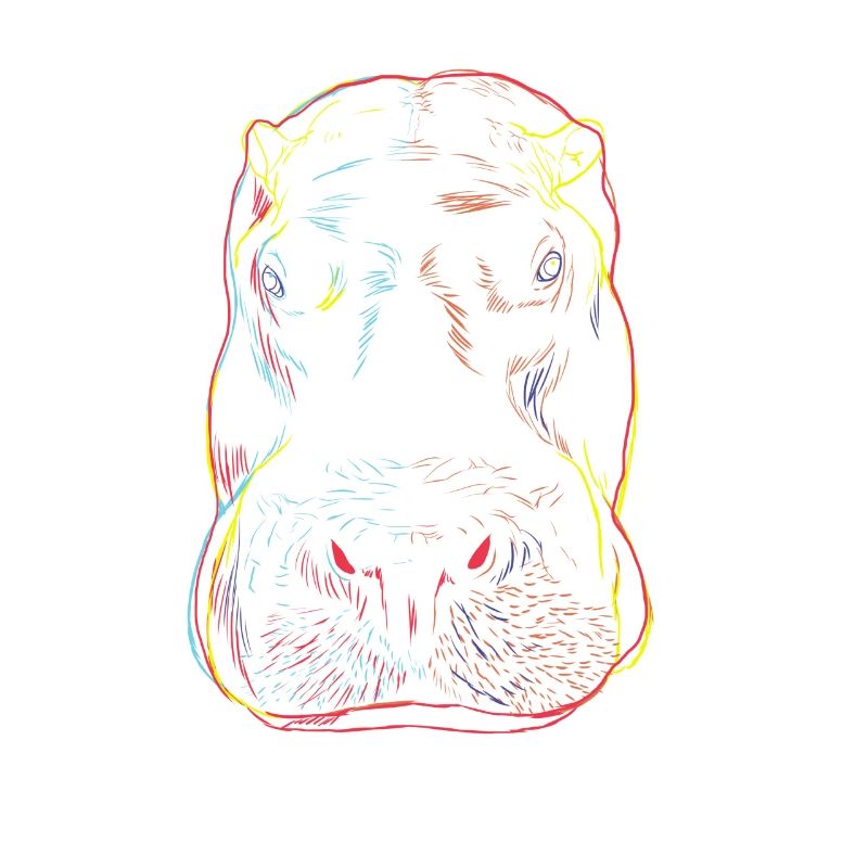 Neugieriger Nilpferd