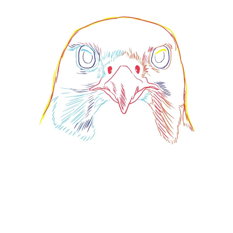 Faucon