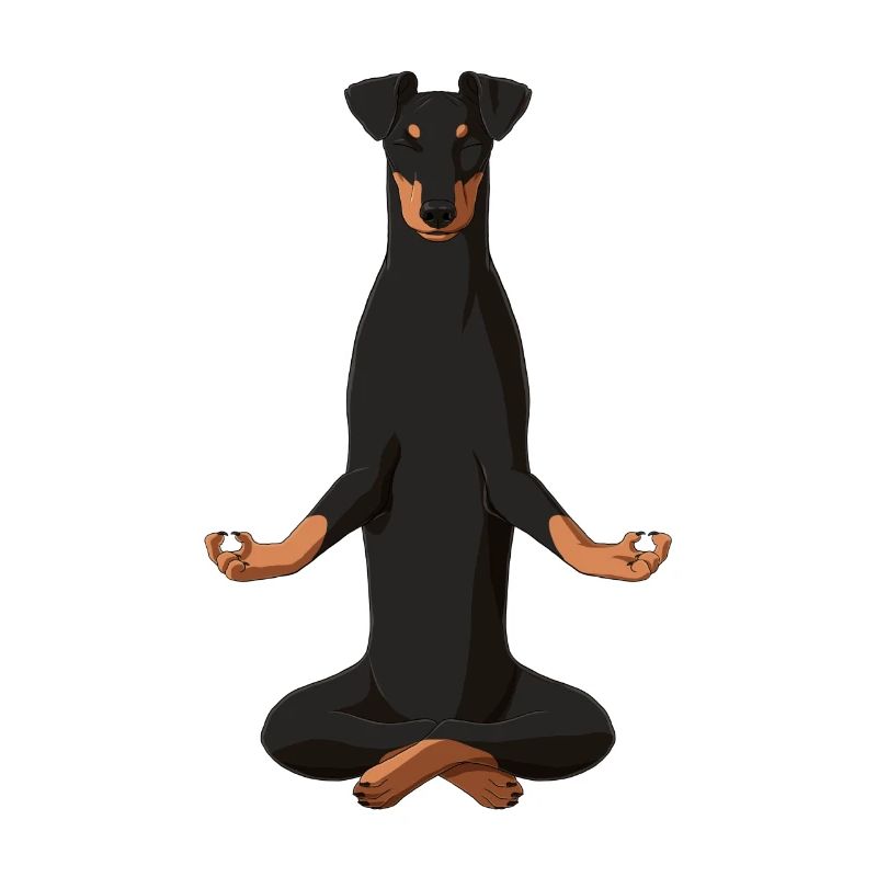Meditierender Manchester Terrier Hund
