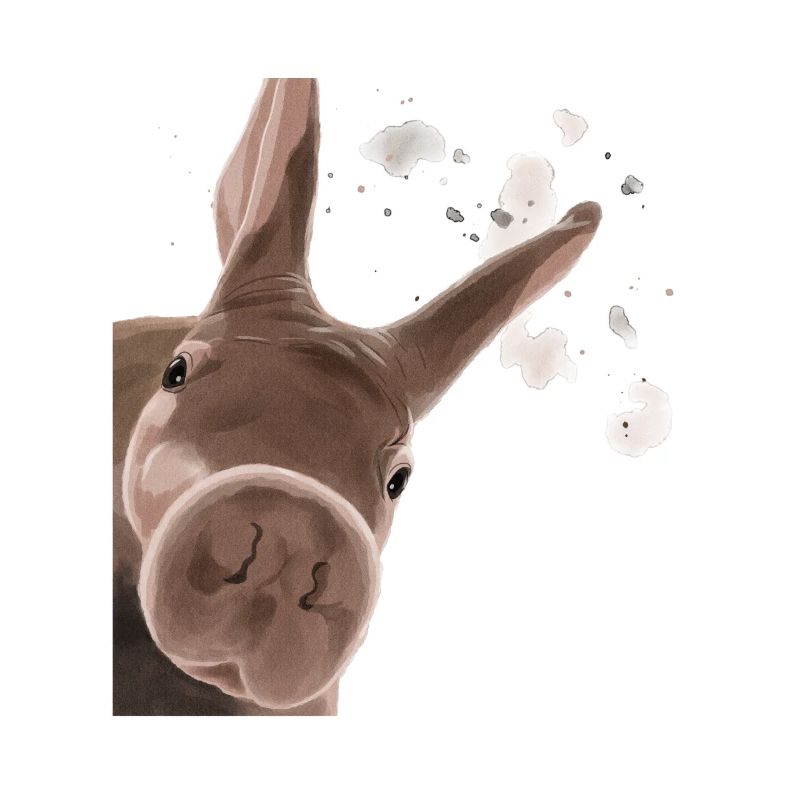 Neugieriger Erdferkel