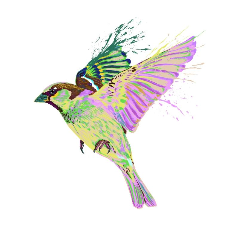 Bunter Fliegender Haussperling Splash Vogel Spatz