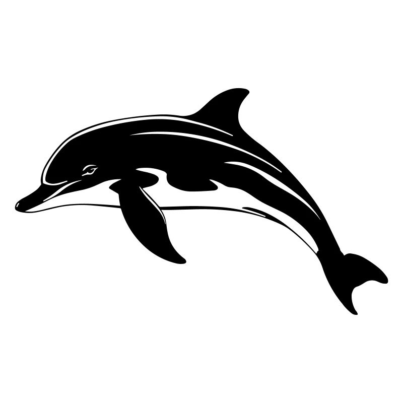 Dolphin