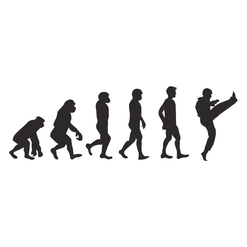 Evolution Karate