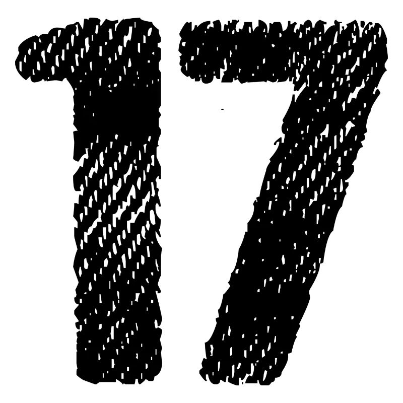 17 number jersey