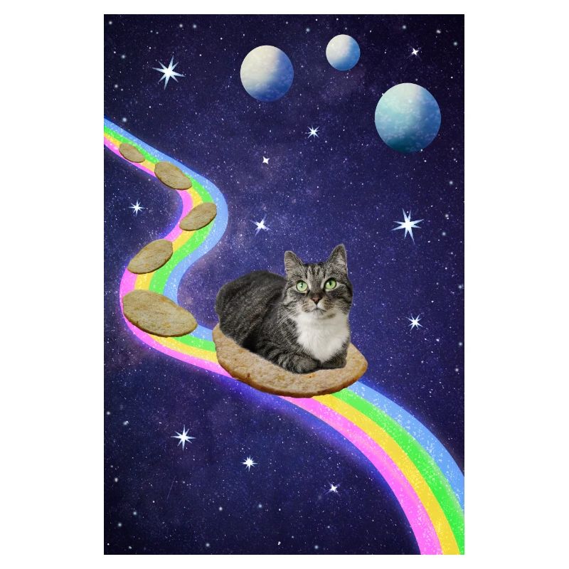 Mignon chat de l’espace