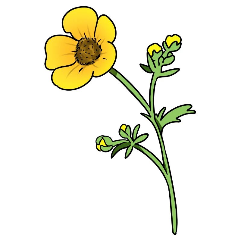 Fleur de beurre