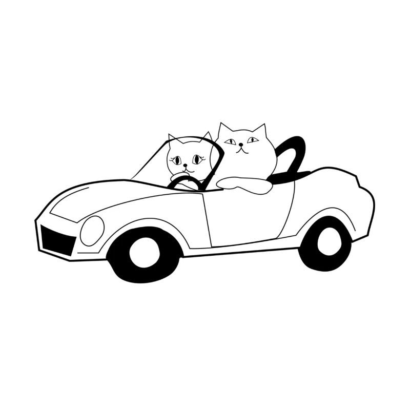 Les chats dans un cabriolet