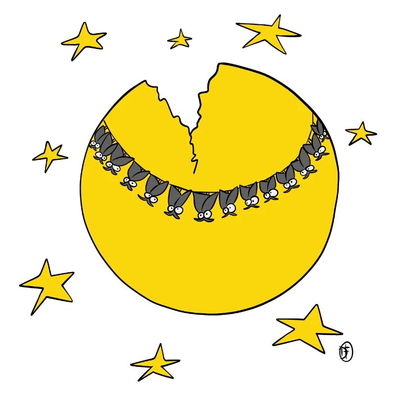 Bats on the moon