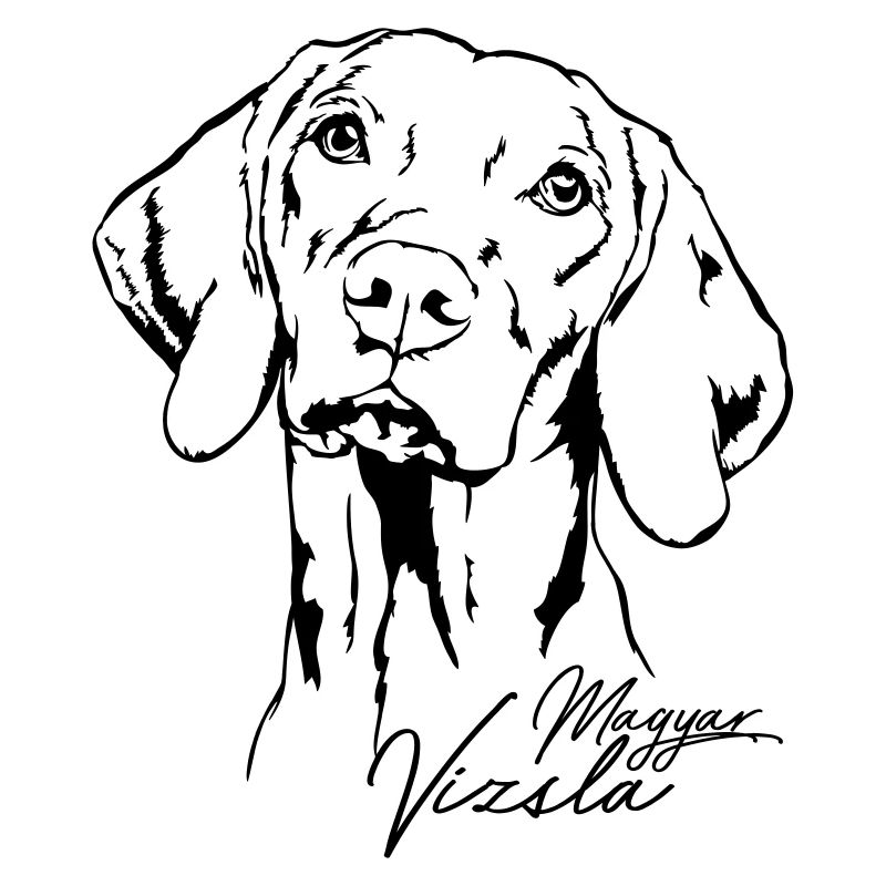 MAGYAR VIZSLA Portrait Wilsigns Jagdhund Jagdhunde