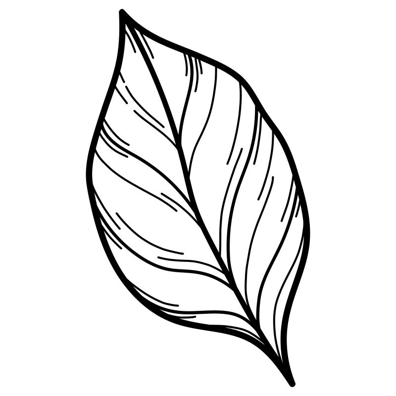 simple Wildblume