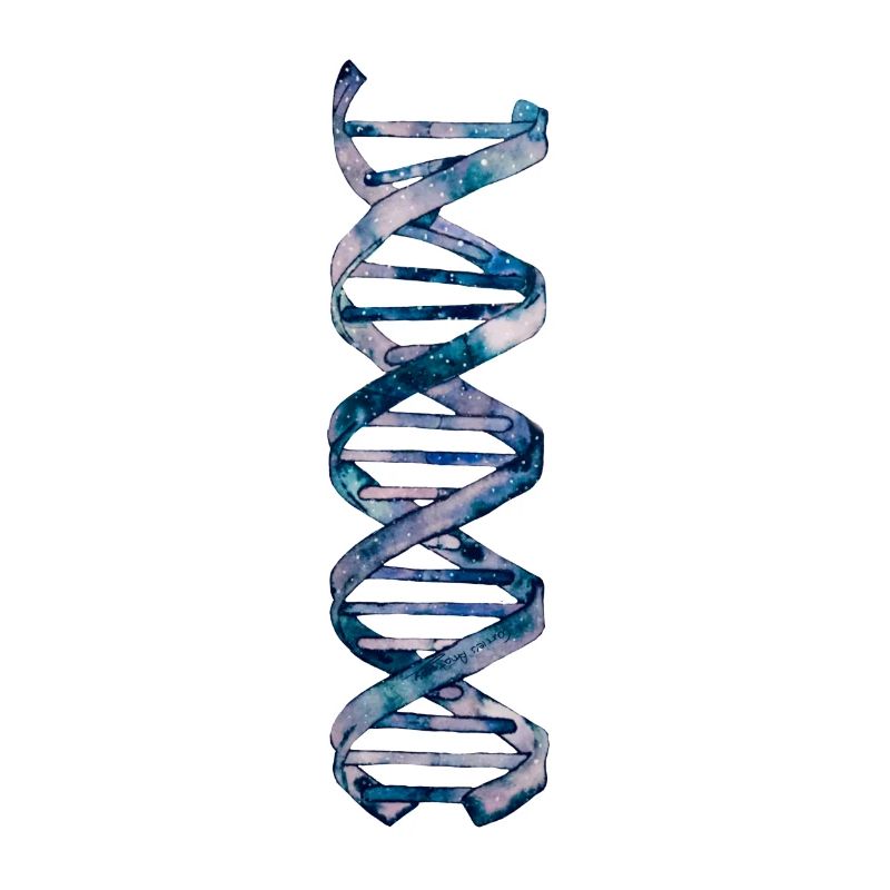 DNA DNA