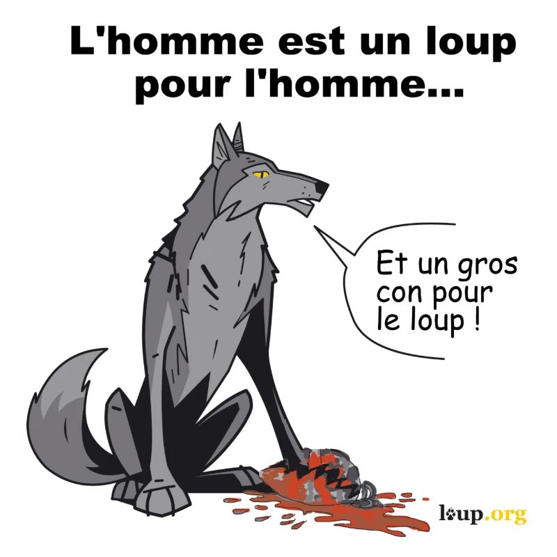 wolfman