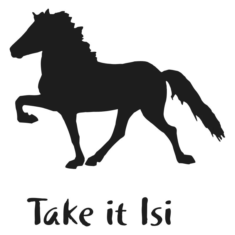 Islandpferd - Take it Isi