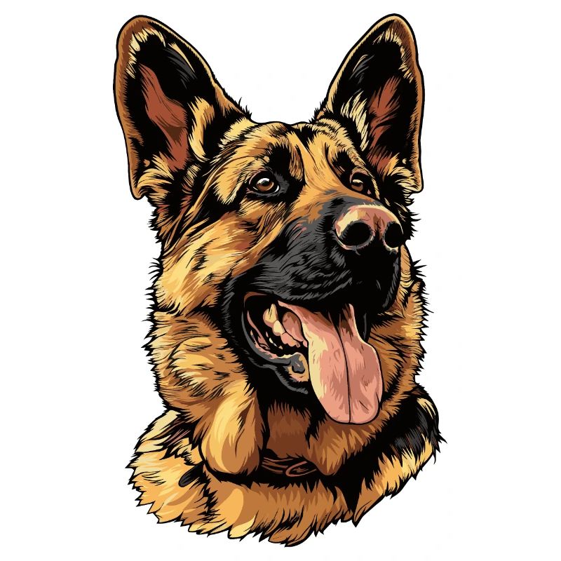 German Shepherd