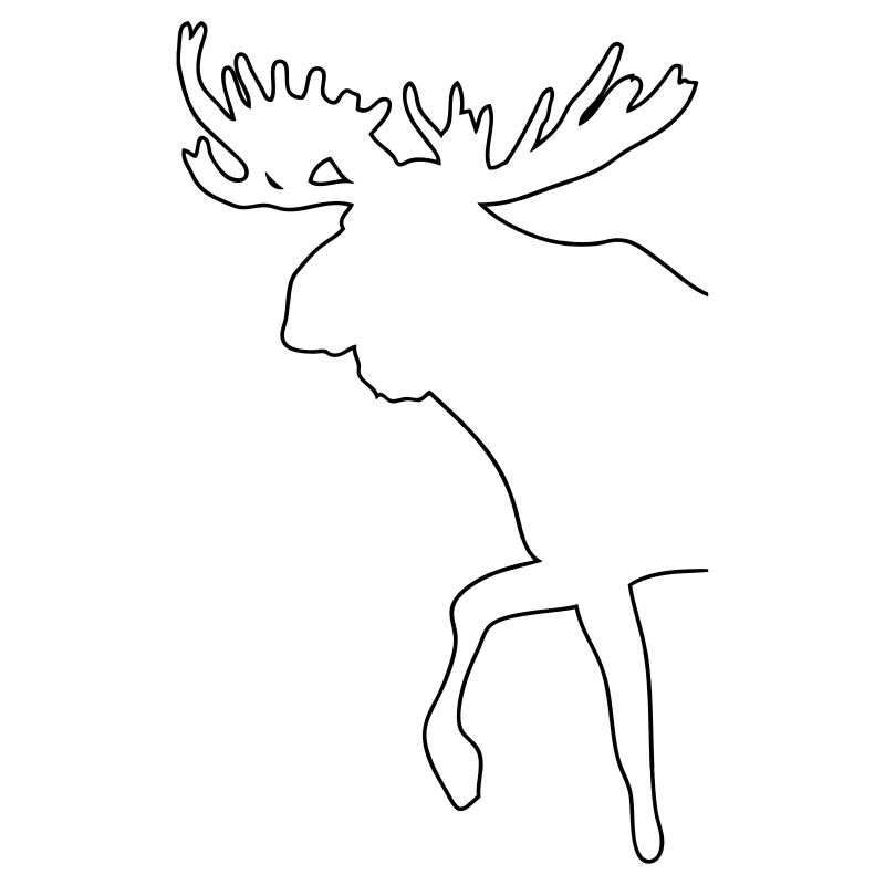 Elch - Moose