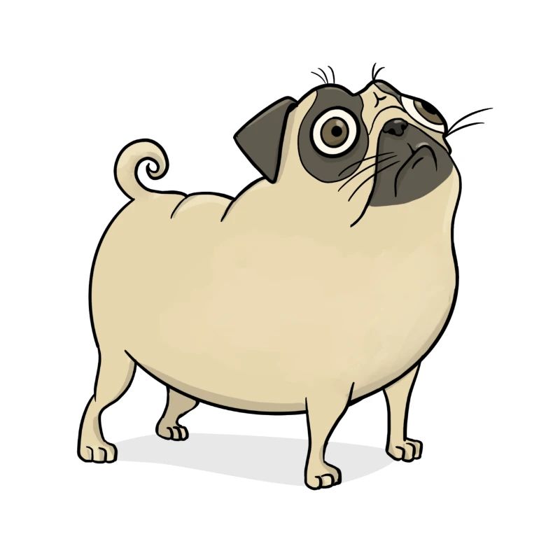 Pug funny embarrassed
