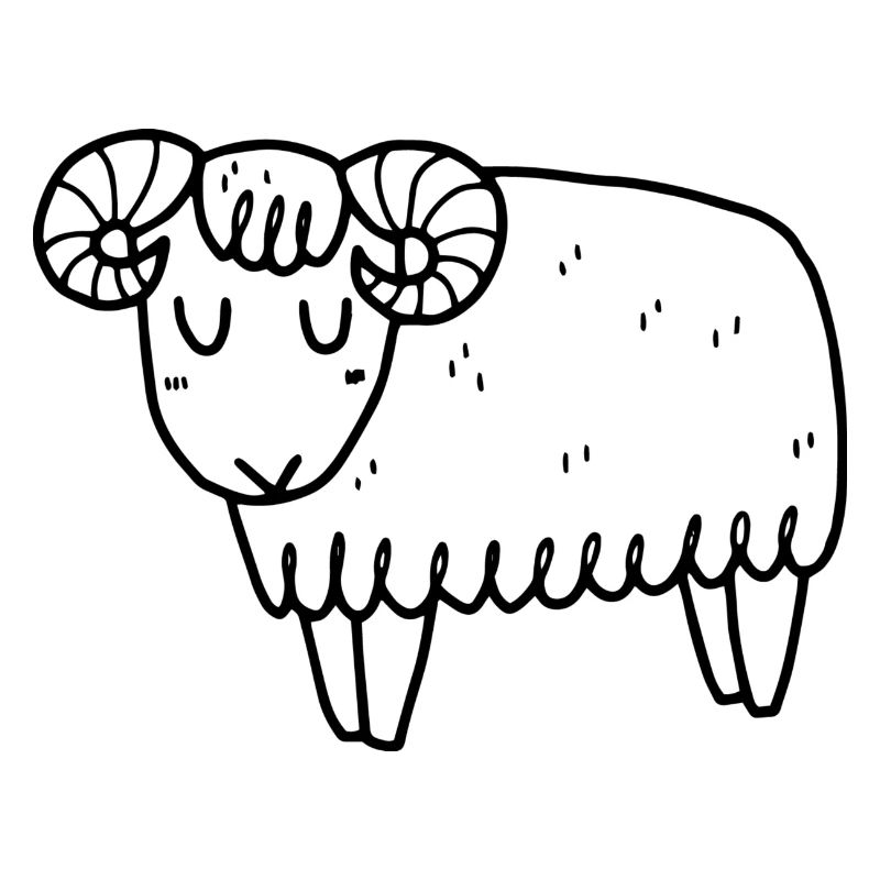 Schaf Islandschaf Widder Mufflon Schafbock