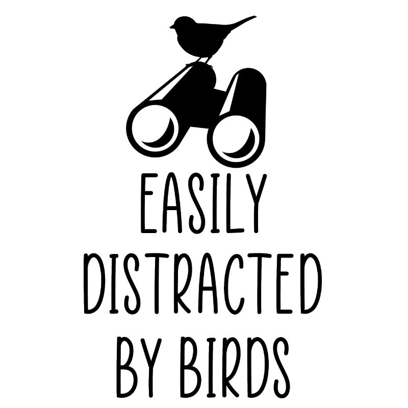 distrait par les oiseaux