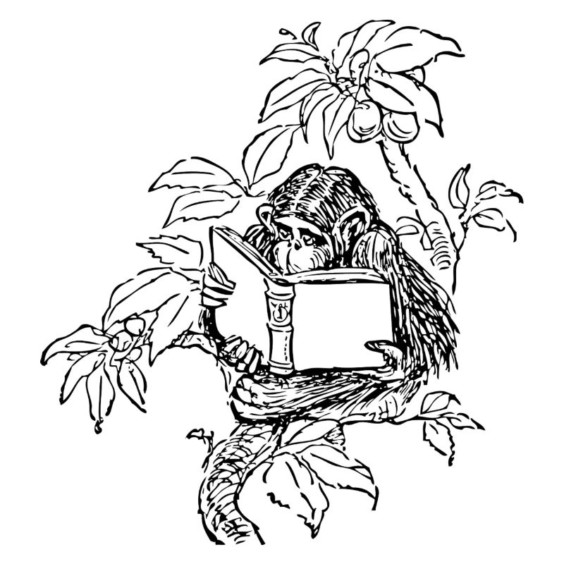 Affe mit Buch