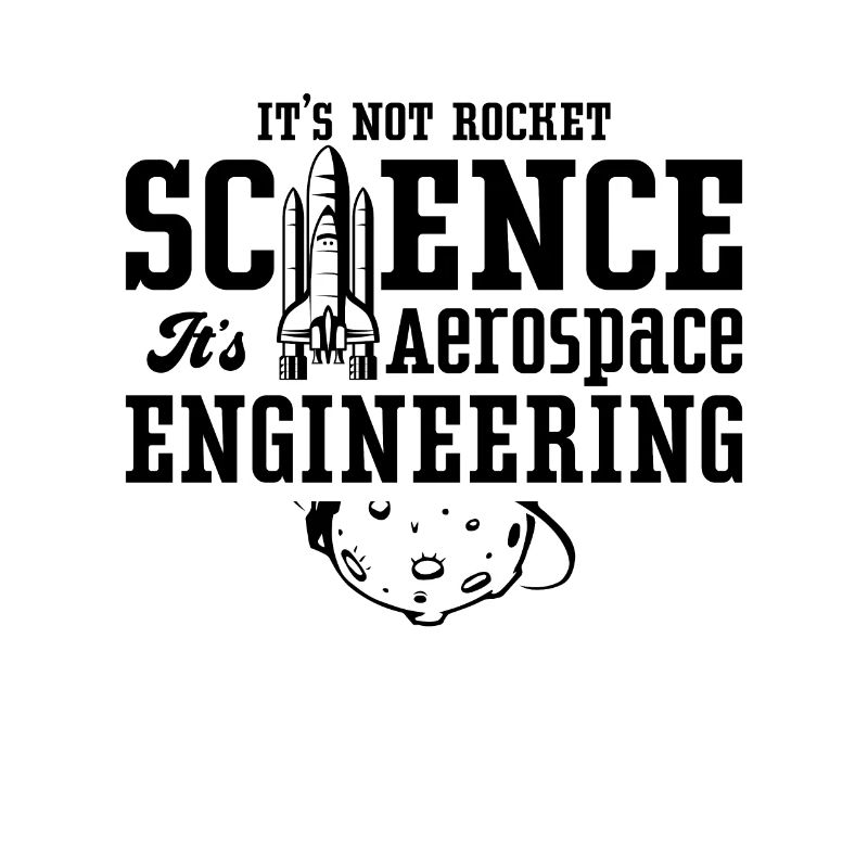 It's Not Rocket Science Aerospace Engineer Space