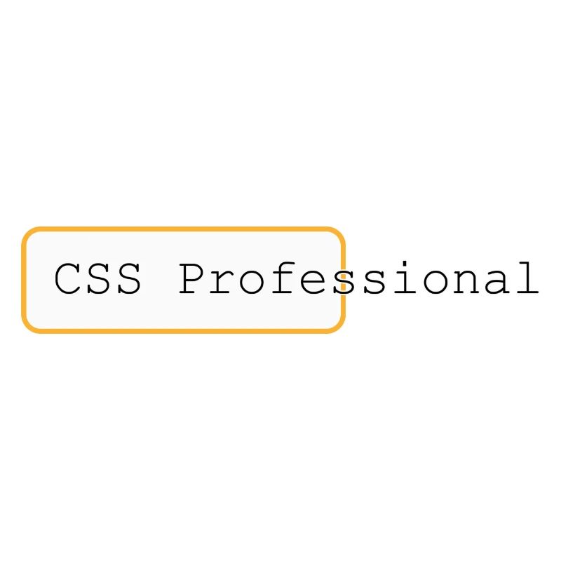 CSS Professional - Maître des mises en page Web