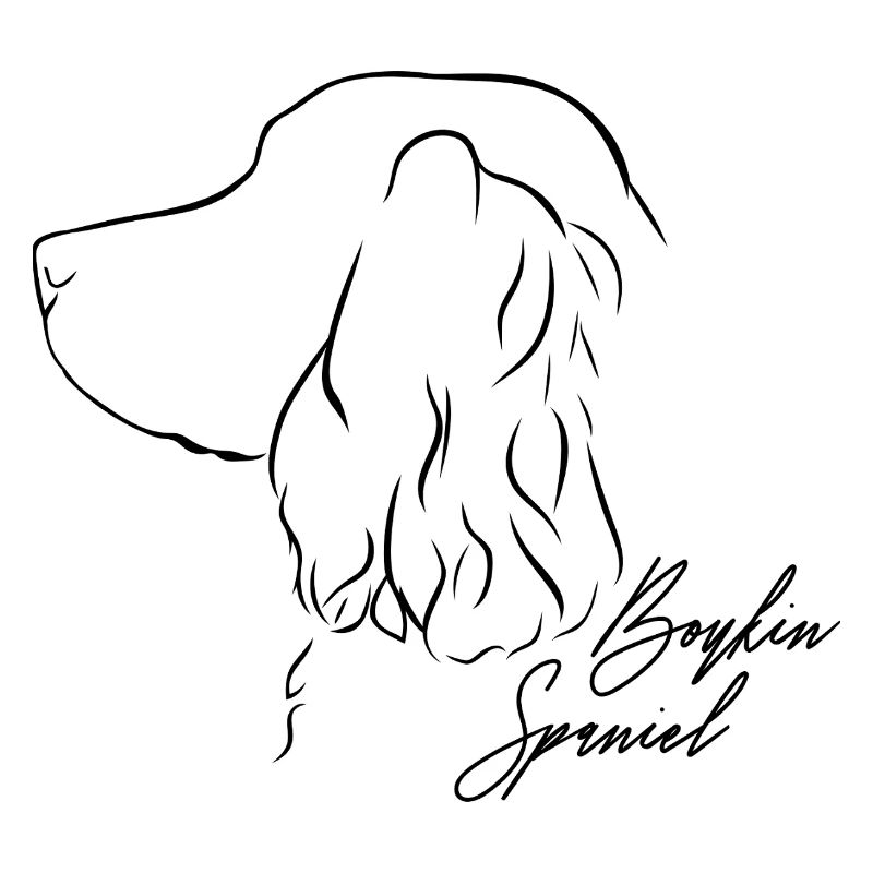 Boykin Spaniel Profil Hunde Hund Wilsigns