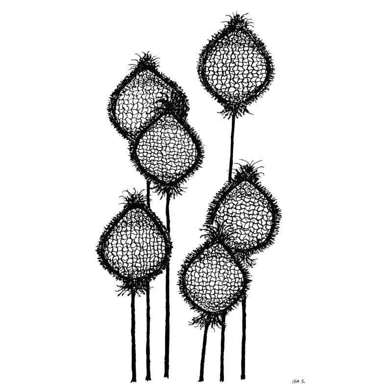 Mohnknospen oder Ananas am Stiel? Schwarz abstrakt