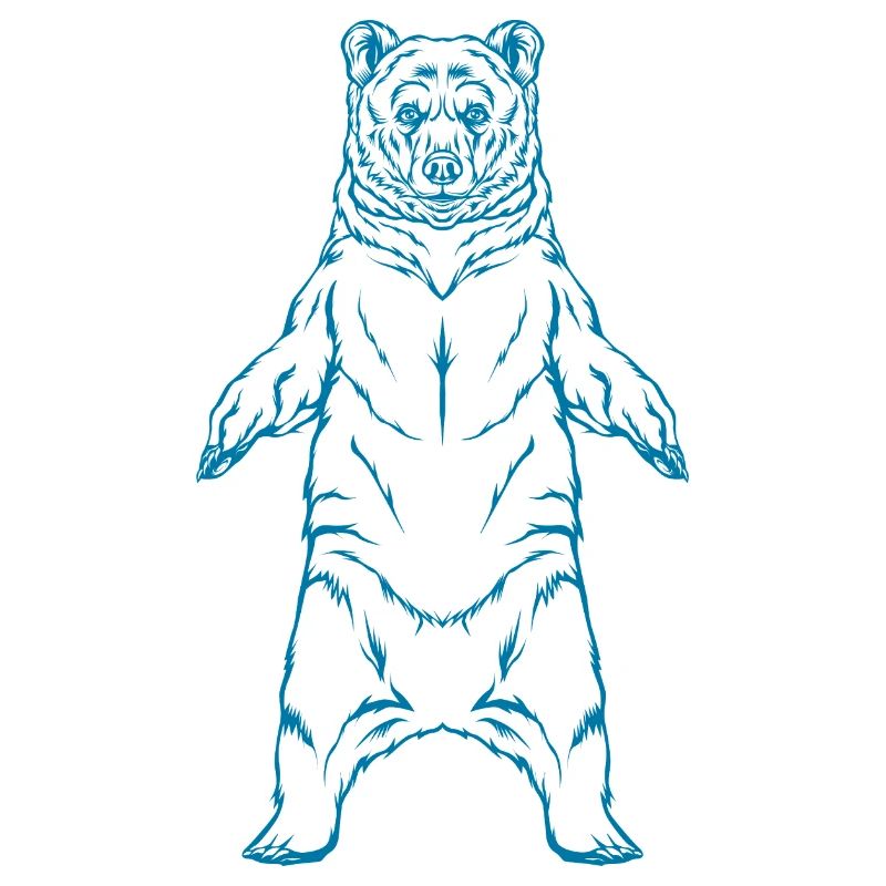 ours brun