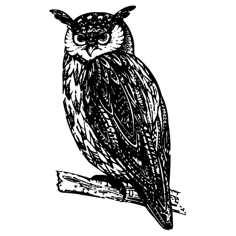 Eule