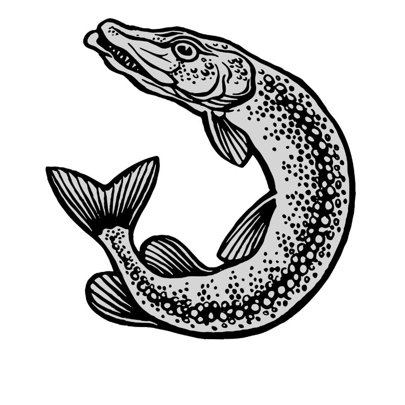 Pike