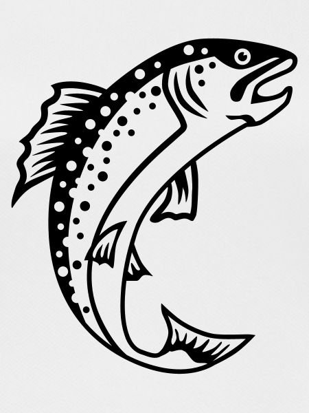 Trout