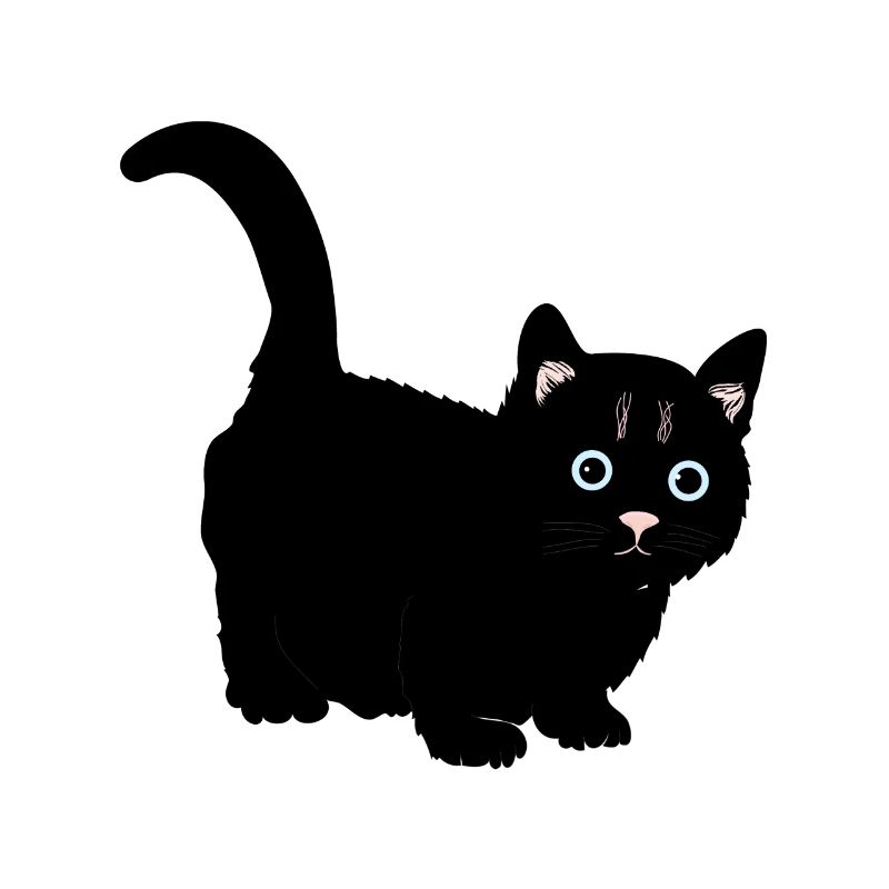Katze schwarz