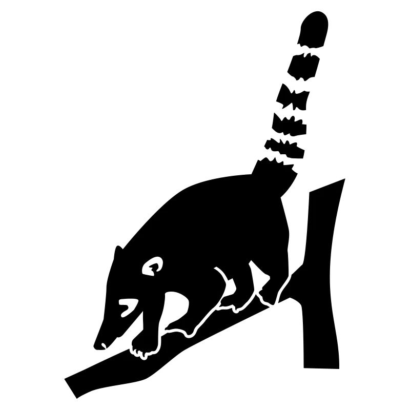 Coati