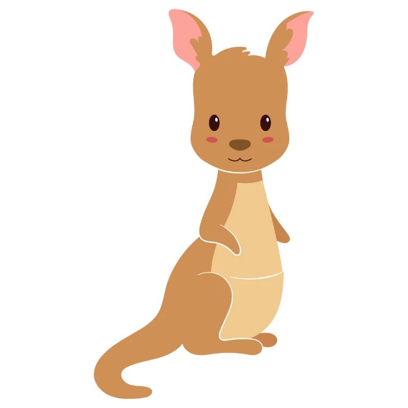 Cute kangaroo