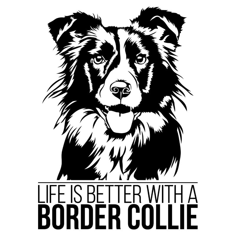 Border Collie life is better Hunde Spruch Wilsigns