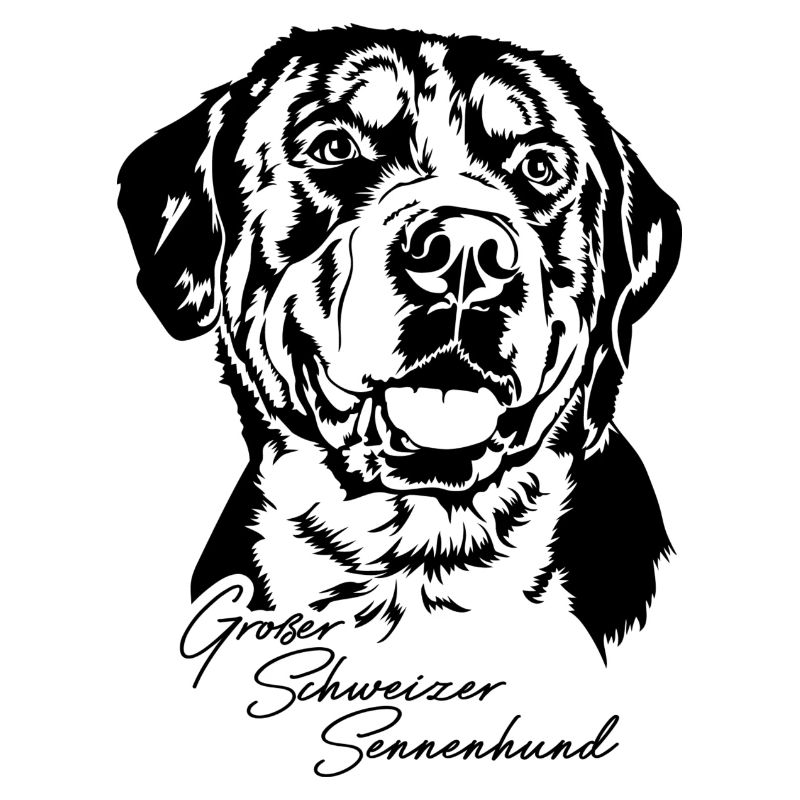 Grosser Schweizer Sennenhund Portrait Wilsigns