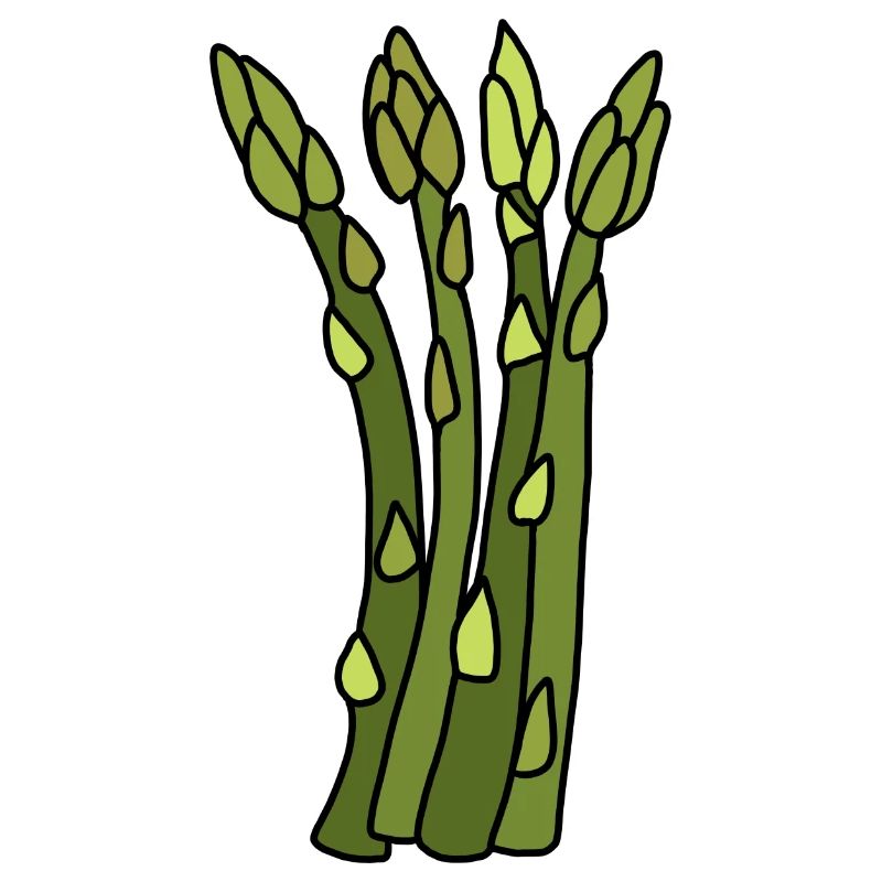 Temps des asperges