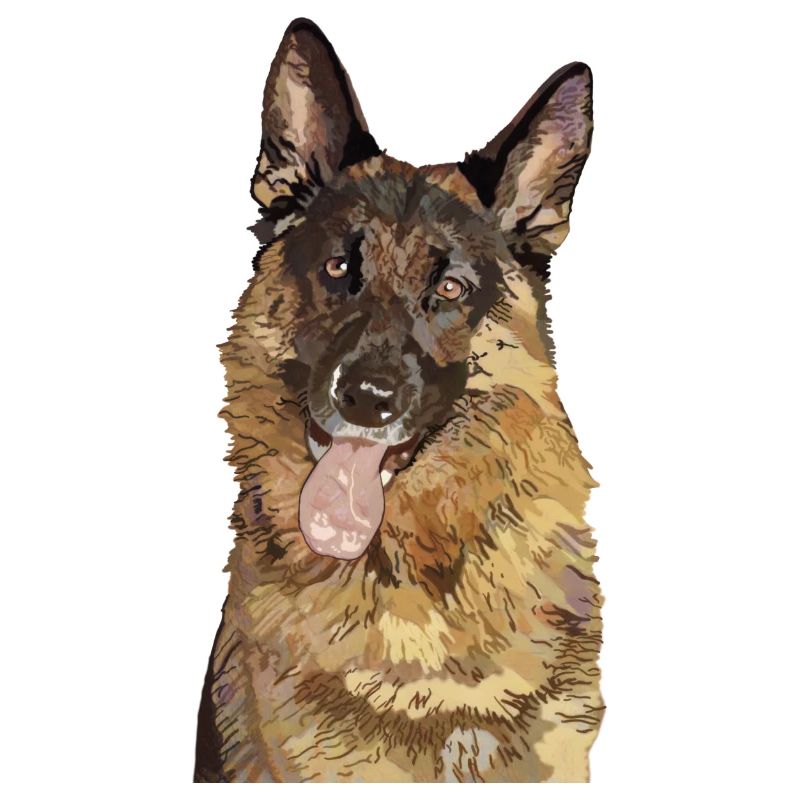 Deutscher Schäferhund