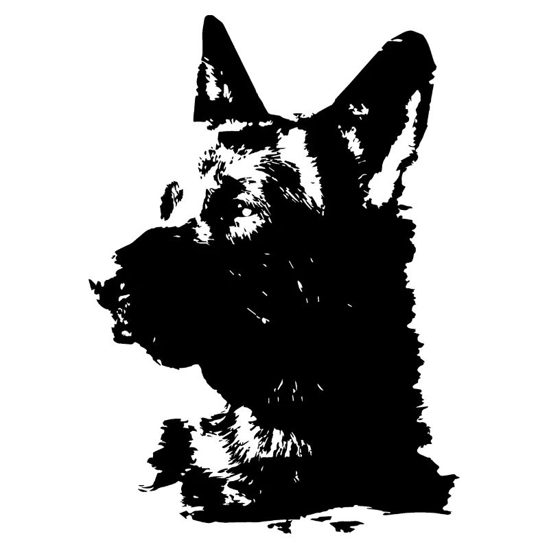 German Shepherd,Shepherd,Dog,Black